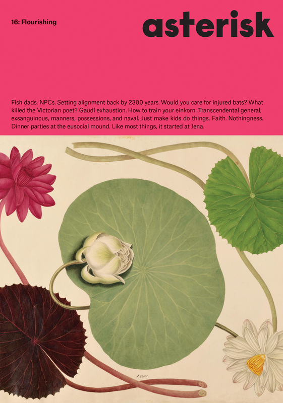 Issue 16: Flourishing - PDF